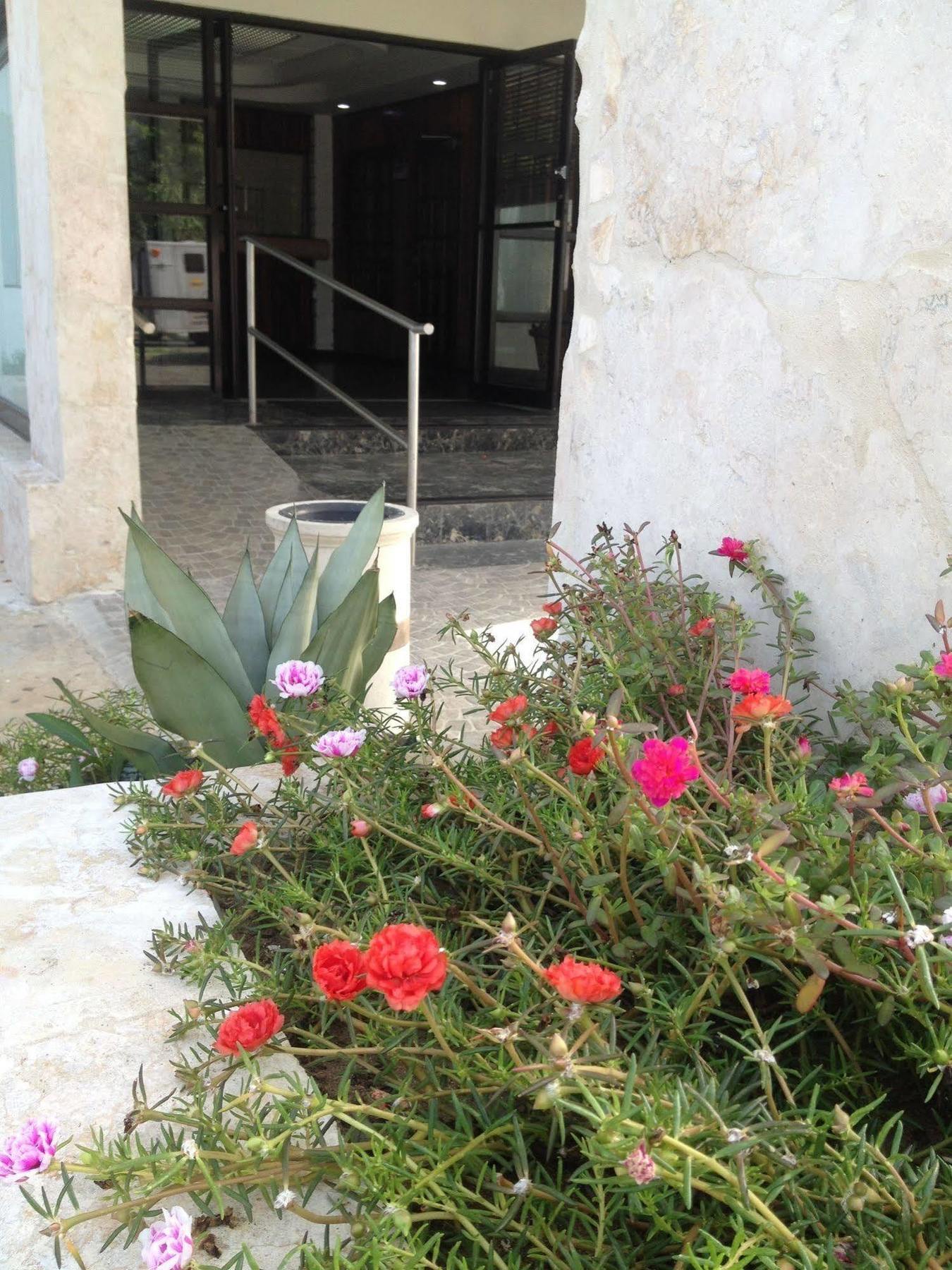 Arecibo Inn Εξωτερικό φωτογραφία